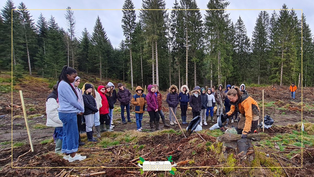 [#JeudisVerts]🌱 Opération 'Un jeune un arbre' au collège Claude Chabrol d'Ahun 🌳 22 collégiens du club 'éco-patrouille' se sont rendus en forêt afin d'y planter des arbres. Les élèves ont ainsi découvert des techniques de sylviculture et ont été sensibilisés à la biodiversité.