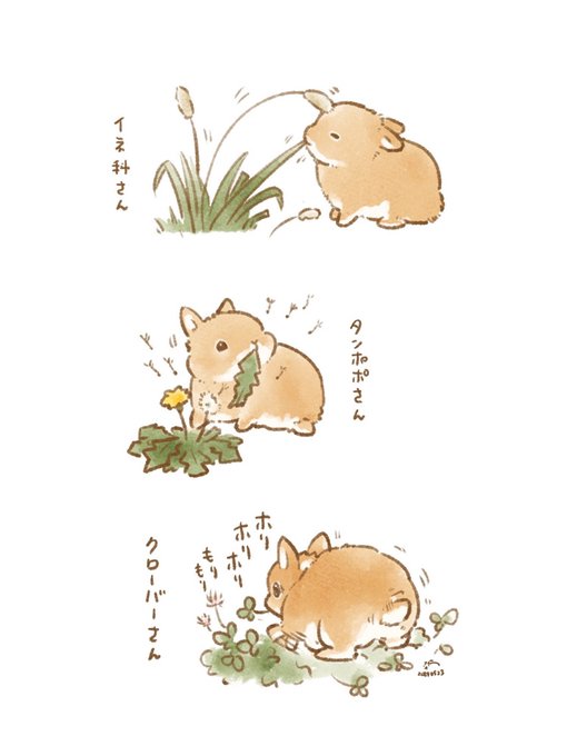 🐰野草とデート🌾 