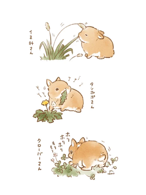 🐰野草とデート🌾 