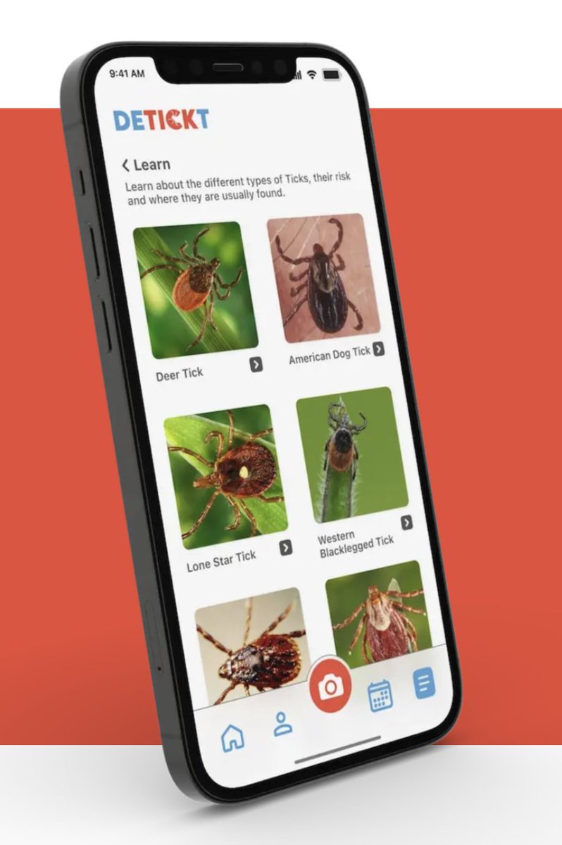 Ticks transmit many infectious agents and can cause alpha-gal syndrome (meat allergy). But it's difficult to identify tick species. #DETICKT app utilizes AI to analyze photo images and provide you with instant information about ticks with 97% accuracy 👇🏼 detickt.com