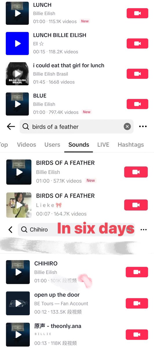 @everlikeme Hit me hard and soft on tik tok

 (within 6 days)
Lunch: 230k➕
Birds : 220k➕
Blue: 800k➕
Chihiro: 350k➕

Four Total: 1.6m videos