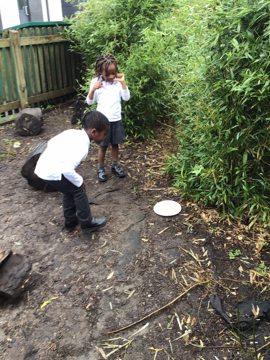 Canon_Reception's tweet image. Reception are conducting a science experiment and have set up their very own Minibeast Café! We have left some different foods outdoors to see which attract the most minibeasts! 🍌🍊🧀 @Cornerstonesedu #CreepCrawlandWriggle #EYFS @LT_Trust @CanonSharples #cspsscience