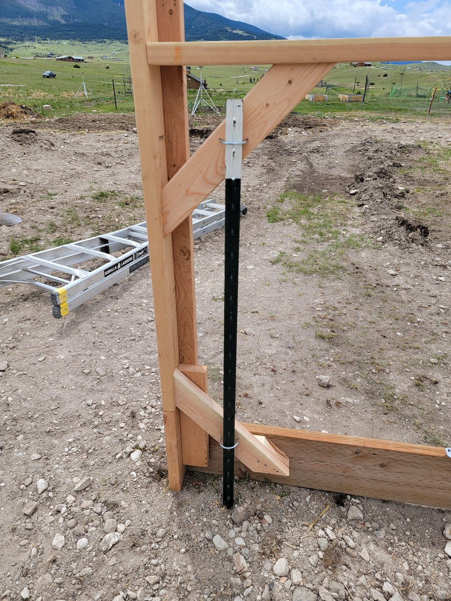GreenDuckFarms's tweet photo. Small steps add up.
Got some t posts driven in, and bolted to my doorway. Wouldn't call it load bearing, but it added more structure than I expected. 
Much more stable now. Won't get any wobble when I add doors. 
#hoophouse #homestead https://t.co/JiuiZr6I1r