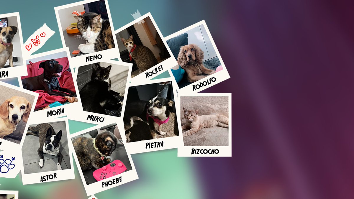 RKGKgame's tweet image. Hello from @GamesWabisabi and all our furry friends! 🐕🐈

RKGK has been 4 years in the making and we&apos;re SO happy to see everyone enjoying what we&apos;ve created. 

We hope you keep rising up, fighting back, and expressing yourselves in style ✊

From all of us, thank you! 💗