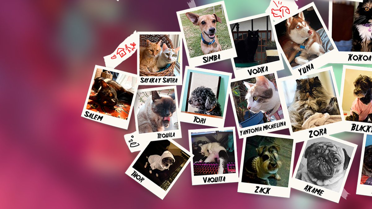 RKGKgame's tweet image. Hello from @GamesWabisabi and all our furry friends! 🐕🐈

RKGK has been 4 years in the making and we&apos;re SO happy to see everyone enjoying what we&apos;ve created. 

We hope you keep rising up, fighting back, and expressing yourselves in style ✊

From all of us, thank you! 💗