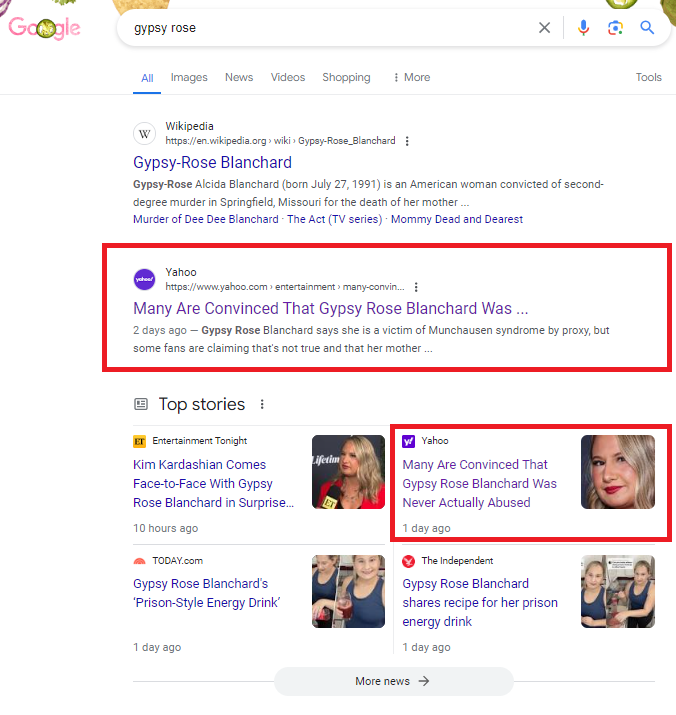 Lily Ray 😏 tweet media