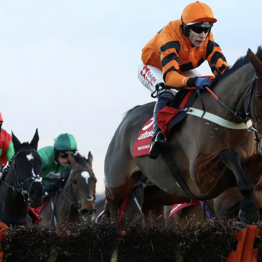 What's the Best and Worst Racehorse Names You've Ever Heard? 🧐 Always loved - Thistlecrack – the name always seemed to radiate energy. Perfectly suited for this champion! ❤️ The losers, the names not the horses....Hoof hearted, just awful, Samschickenliver (KY), just why?