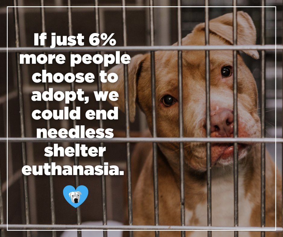 One Tail at a Time (OTAT) (@onetailatatime) on Twitter photo New data suggests that if 6% of people this year choose to adopt instead of shop, we can eliminate needless euthanasia.
So we need you. To adopt, to foster, to volunteer, to donate, to spread the word.
Help us save them -> onetail.org
Data credit: <a href="/bestfriends/">Best Friends</a> New data suggests that if 6% of people this year choose to adopt instead of shop, we can eliminate needless euthanasia.
So we need you. To adopt, to foster, to volunteer, to donate, to spread the word.
Help us save them -> onetail.org
Data credit: <a href="/bestfriends/">Best Friends</a>