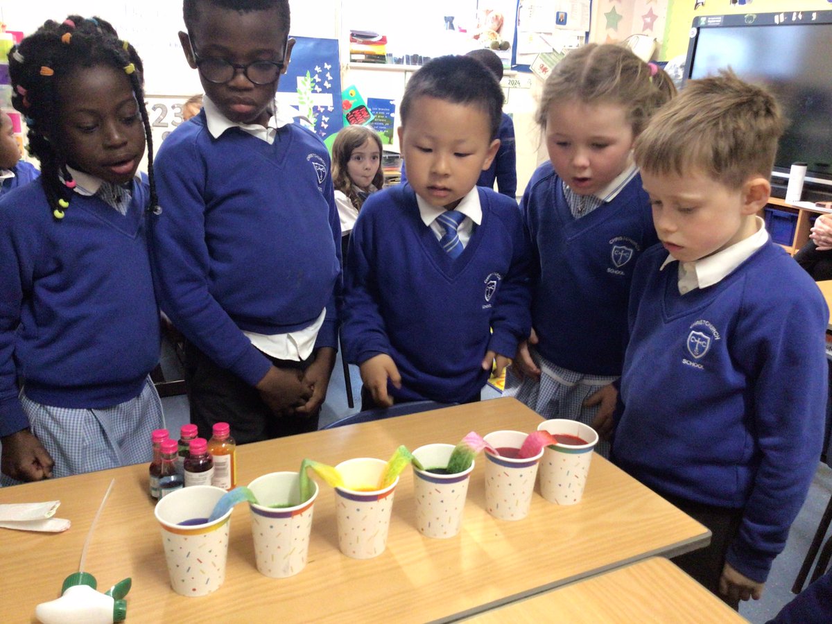 CPrimarywales's tweet photo. Year 1 have enjoyed our science experiment this afternoon on paper towel colour mixing #CCscience #CCfun https://t.co/ZVOYtPpa94