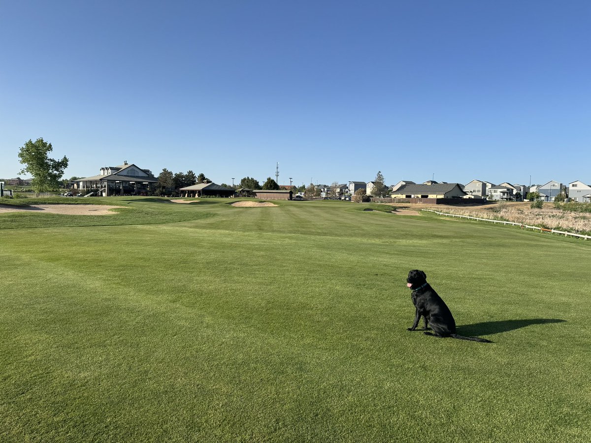 Chapter 1 complete…….its been a great ride and I’ll miss <a href="/GVRgolfclub/">GVR Golf Club</a> but now it’s time for chapter 2 to begin. Time to pass the torch on to <a href="/rhturf720/">Rob Hayes</a>. The club is in good hands!