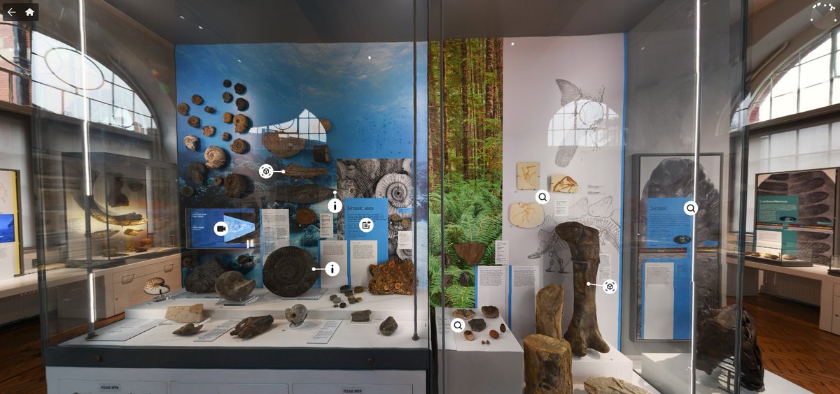 Visit our new Virtual Museum here: thinglink.com/card/184010372…

#VirtualLapworth #geology #museum #ichthyosaur #jurassic #fossil #marine #palaeo #palaeontology