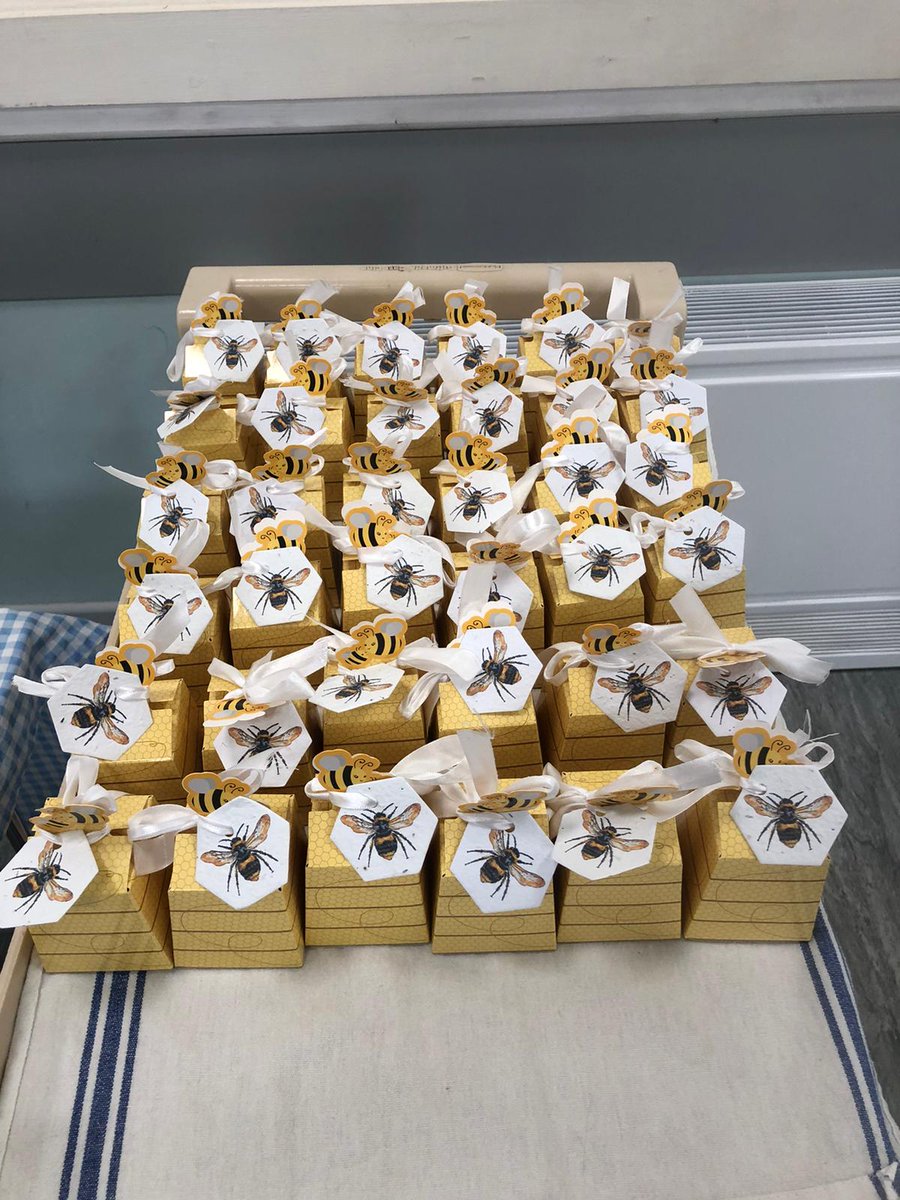 StPetersComm's tweet image. To Celebrate National Bee Day🐝 May 20th, we held a Coffee morning to raise money for our Gardens and new Hive - arriving very soon! By selling our harvested seeds, plug plants, a Raffle and Cake Sale, we raised over £200. Thank you to everyone who supported the occasion with us.