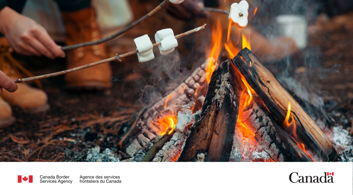 Camping in Canada this #MemorialDayWeekend? Don't bring firewood across the border. Firewood can carry invasive species that pose a threat to Canada’s biodiversity. Learn more: ow.ly/S9UC50RtyO4

#BuyLocalBurnLocal #TravelTip

@ParksCanada @OntarioParks