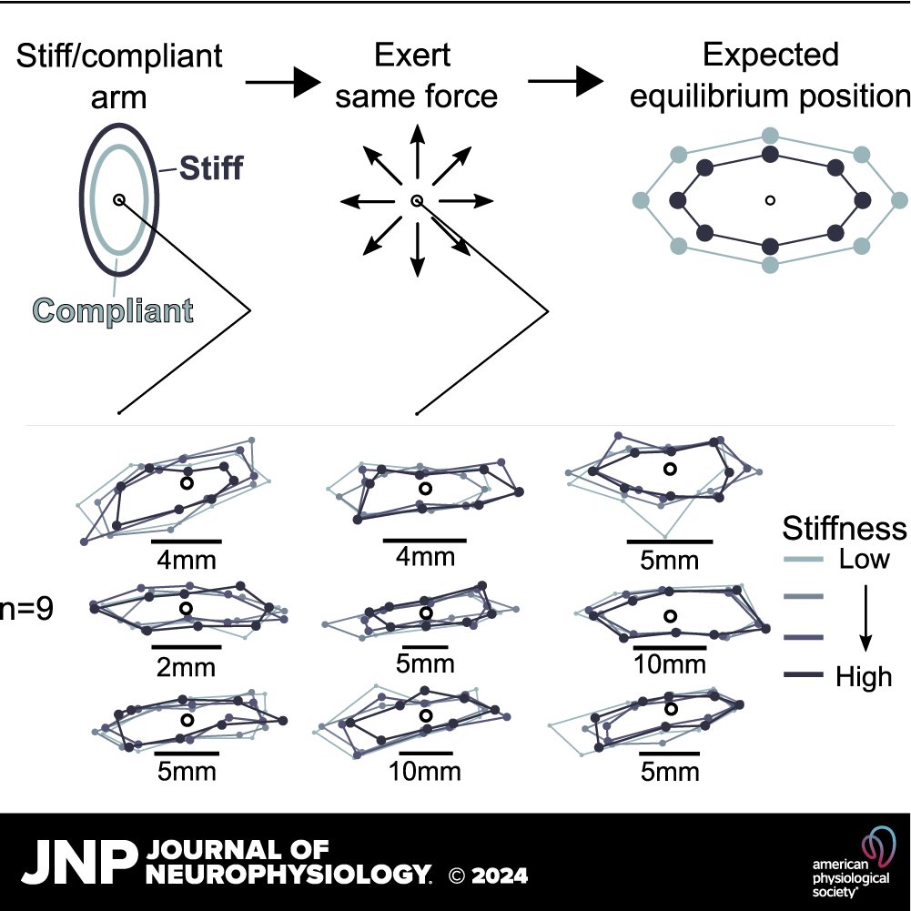 In this paper, Atsushi Takagi et al. show that even when pushing or pulling against the environment, the brain achieves the desired #force through an #EquilibriumPosition that lies beyond the physical constraint. ow.ly/aasE50REnis #Neurophysiology