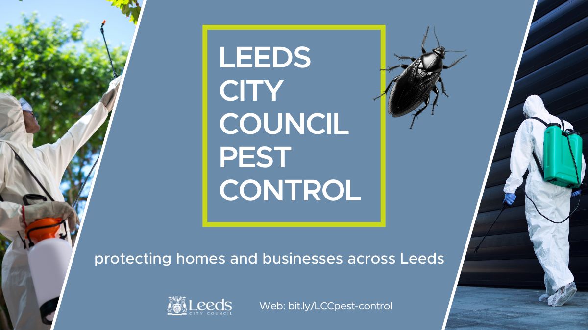 Leeds City Council offers a pest control service to residents and businesses. Our service is fast and responsive, giving peace of mind from all types of pests. From rats and mice to wasps, we offer treatment for over 15 pests. Find out more: orlo.uk/S1fo9