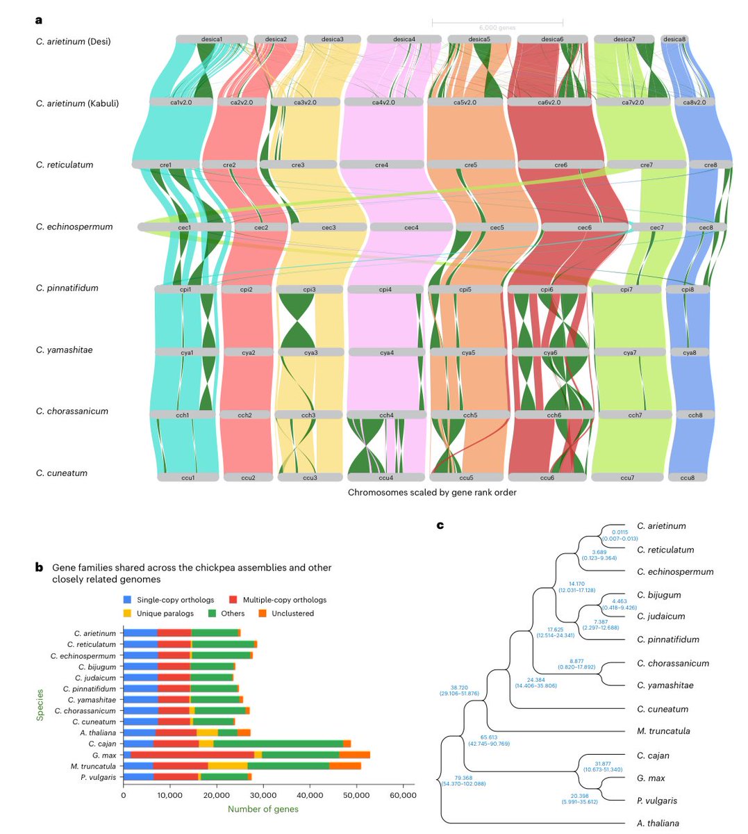 aamirwkhan's tweet photo. Elated to share my PhD research article now online https://t.co/jzQvrnEKny . “Back to wilds to harness lost genetic diversity”. We developed a graph based Cicer super-pangenome &amp; identified trait linked variations specific to wilds.

Grateful to Prof @rajvarshney for mentoring. https://t.co/xcZYW8ndZ2
