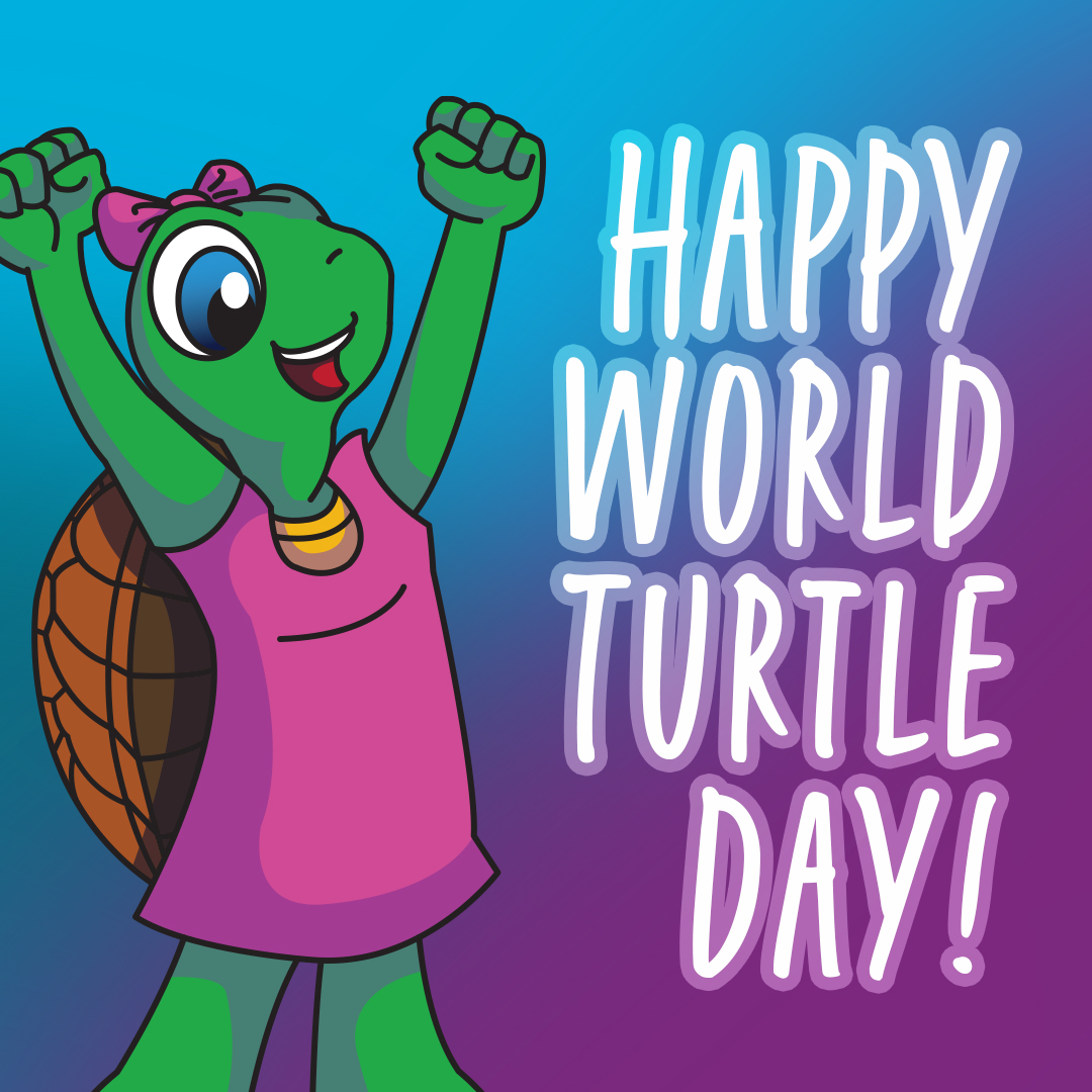 It's #WorldTurtleDay! Download a free PDF of our storybook featuring our favourite turtle, and teach your kids about their personal safety: protectchildren.ca/en/order/produ…