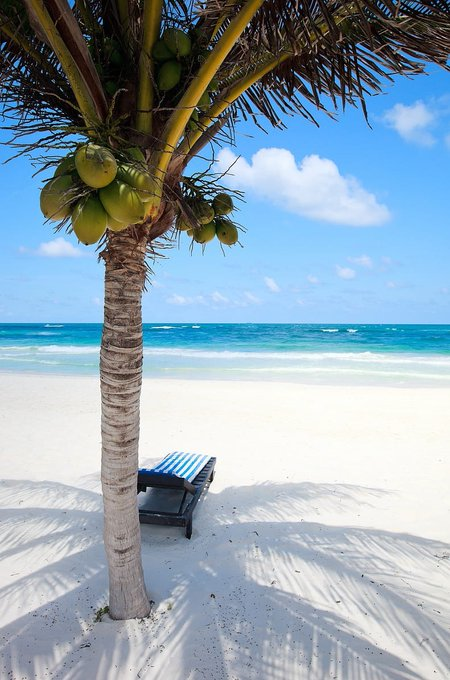 Travitinerary's tweet photo. Aloha Beach🏖️ Sunset, Palms🌴and Ocean Breeze🌞 https://t.co/rTgky6h5xi