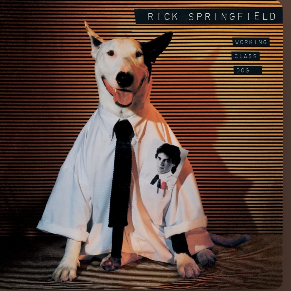 Rick Springfield - Working Class Dog ✌🏻🩷💕
#nowplaying #80smusic #popmusic #RockMusic #albumsyoumusthear