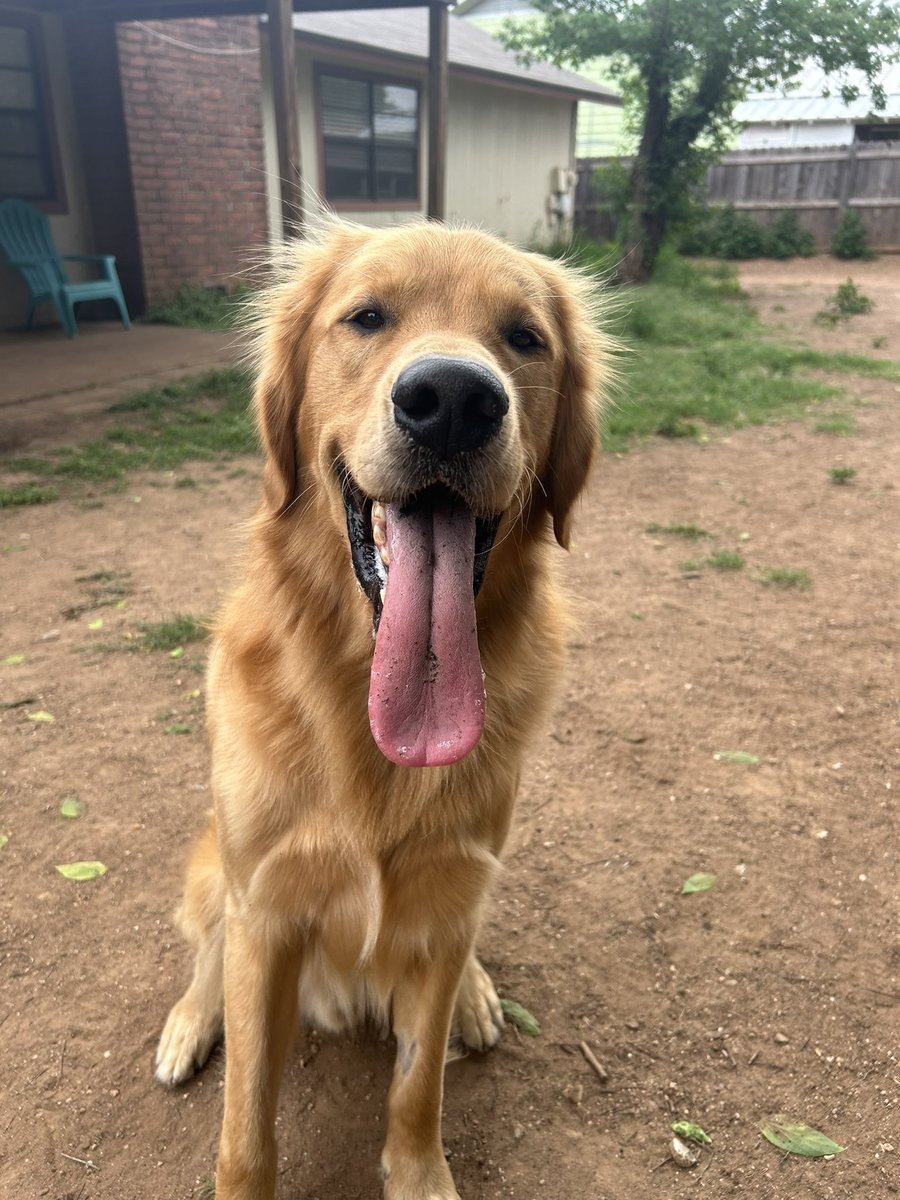 abigail_lo_'s tweet photo. PLEASE HELP OAKLEY KEEP FIGHTING!!

https://t.co/Z0EGPHJI6X https://t.co/yTbKnJPHrj