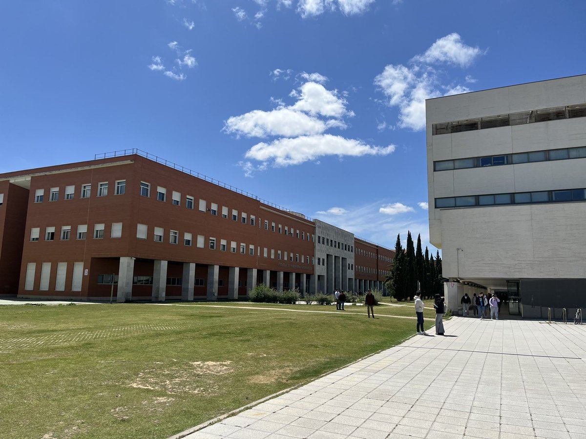 Arjan W. Kleij tweet media