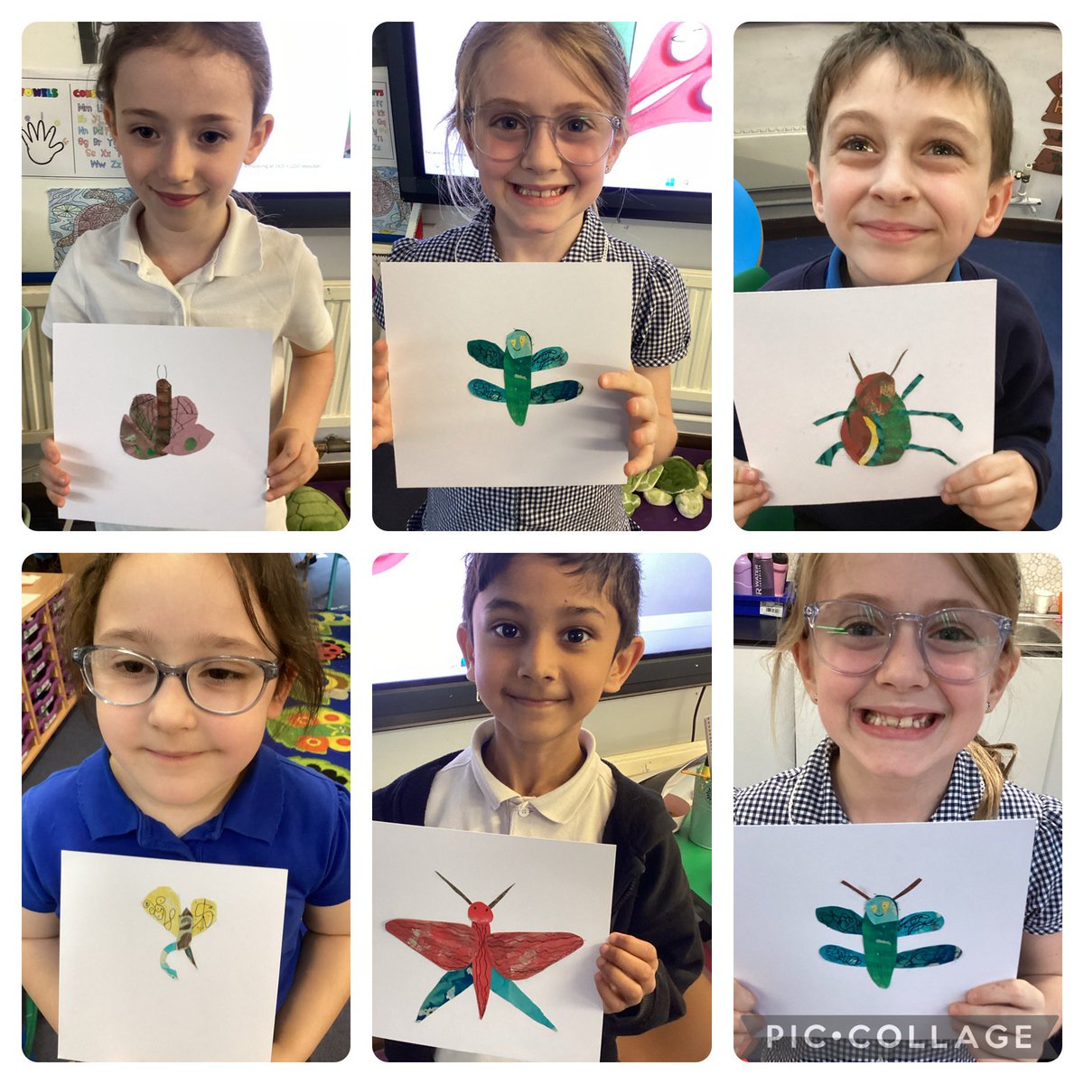 OWPSturtles tweet media