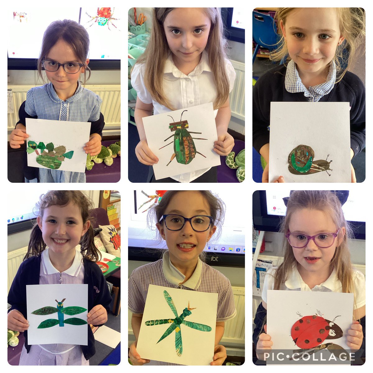 OWPSturtles tweet media