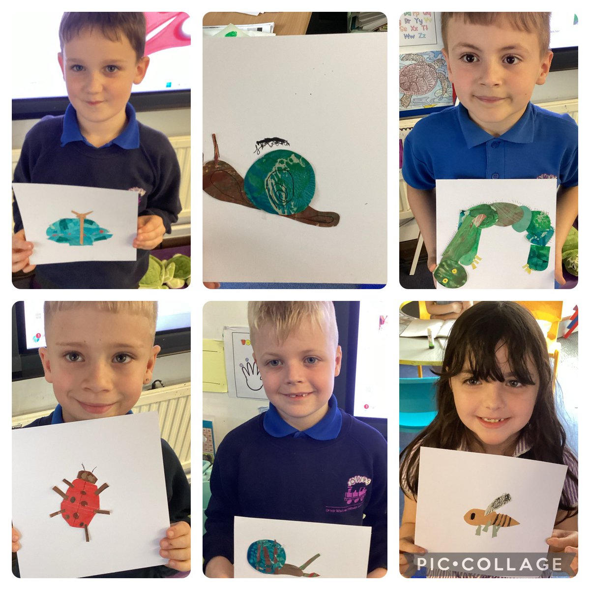 OWPSturtles tweet media