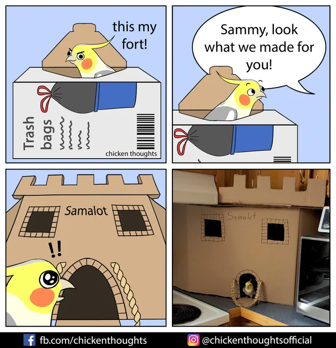 Inspired by Mike and Sophie's cockatiel Sammy! 