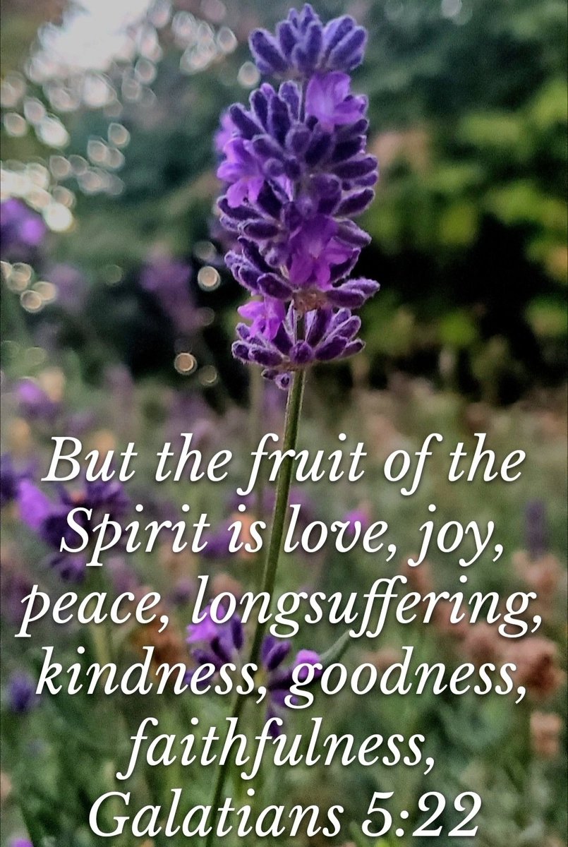 Got fruit? 
(The spiritual kind)