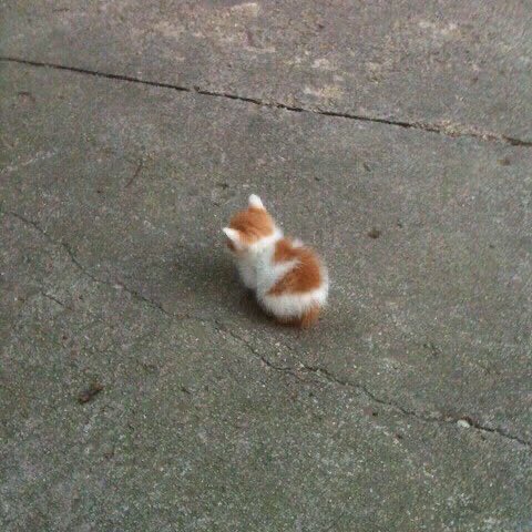 𝐑𝐎𝐒𝐄 ; (@memoriumbra) on Twitter photo 