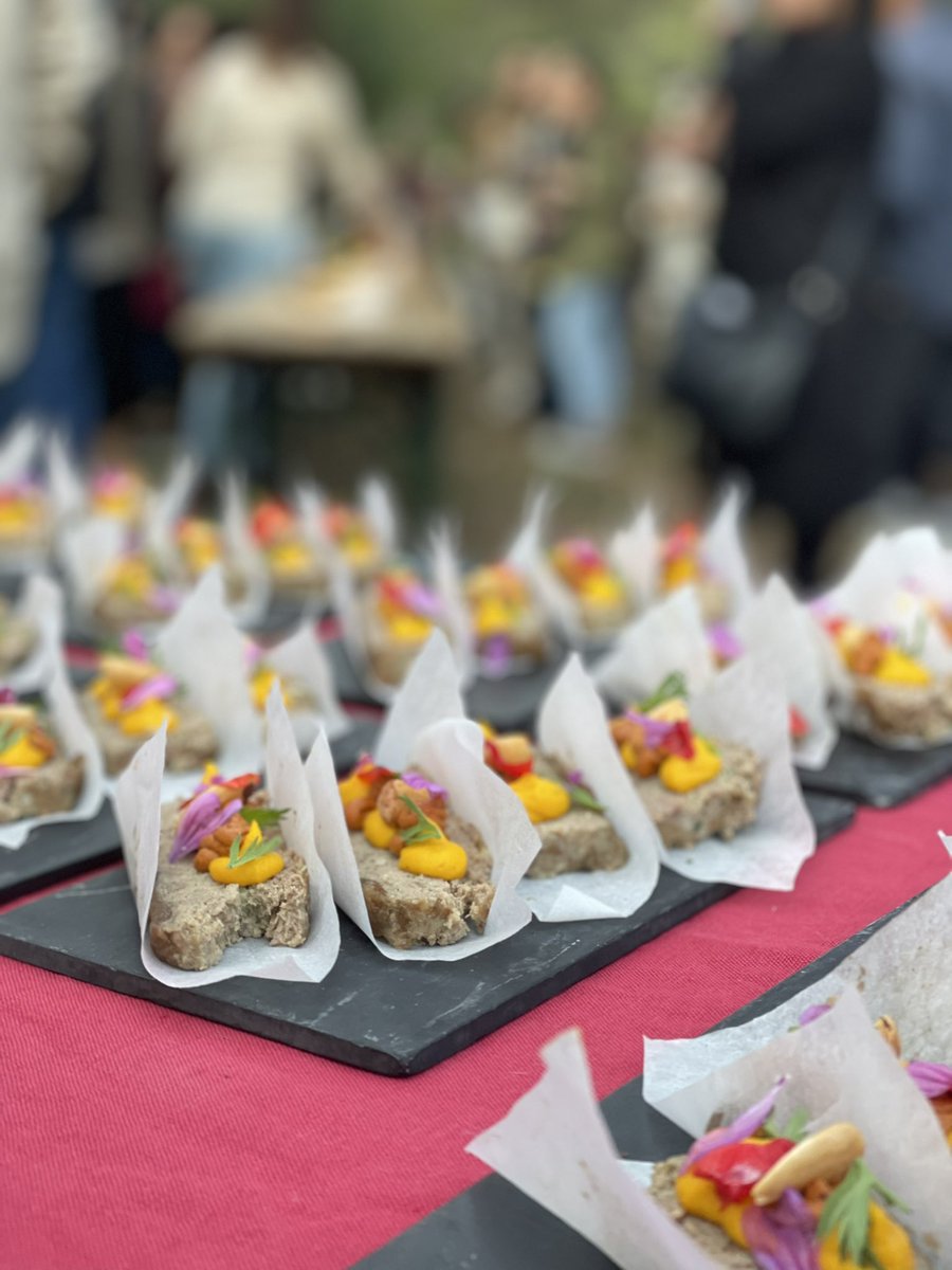 Finca Mas Perdut tweet media