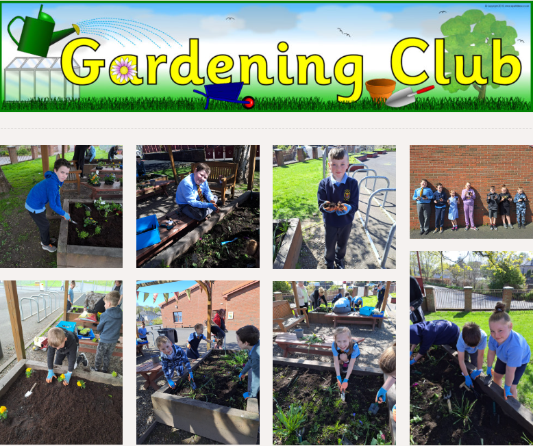 St. Michael’s Primary tweet media