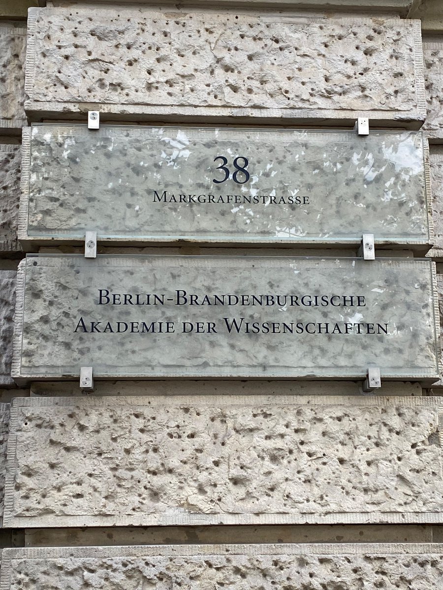 Iva Lucic tweet media