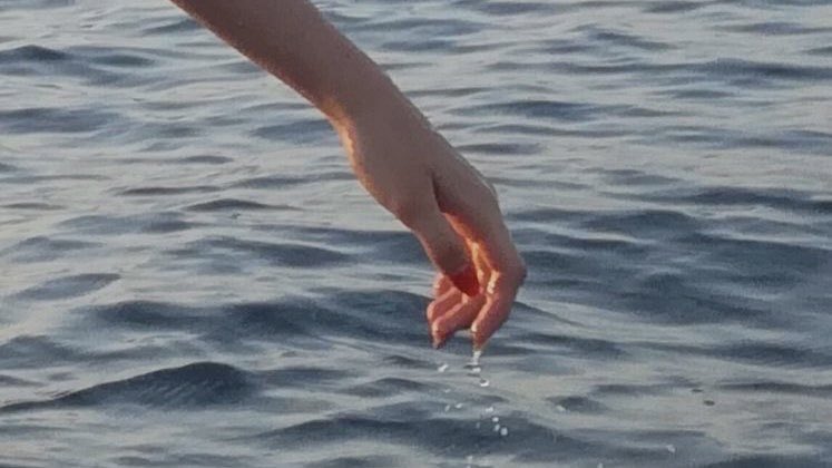 fairyprxncess's tweet photo. the sea and the moon ♡ https://t.co/6r7eV0DCsS