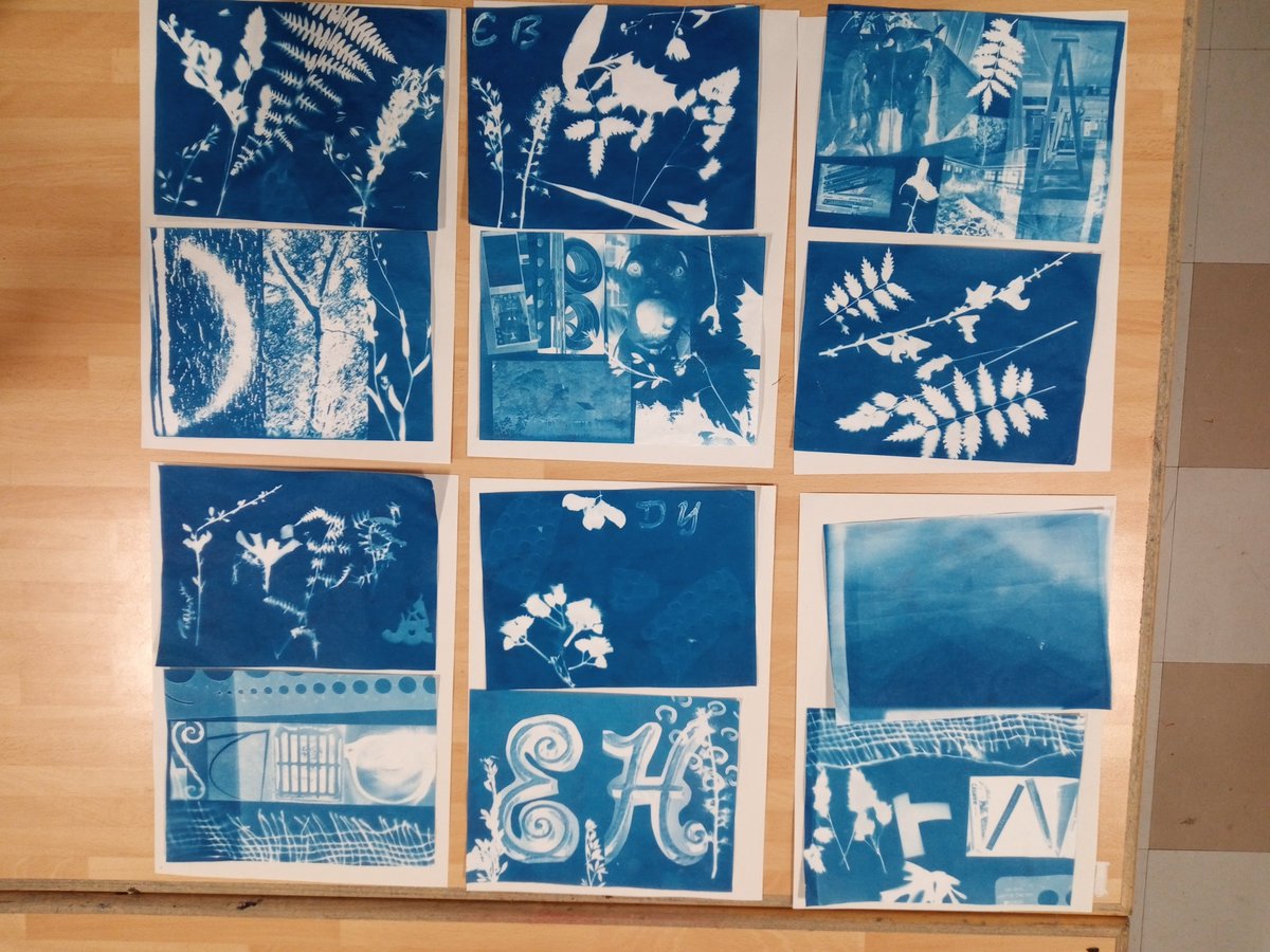 Activity day in school #Photograph #Cyanotypes