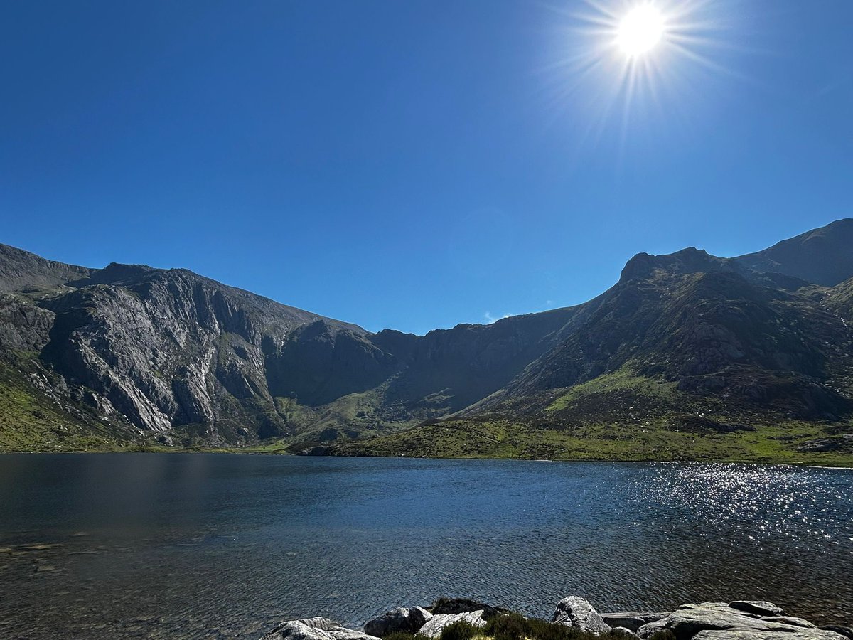 Dylan Vining tweet media