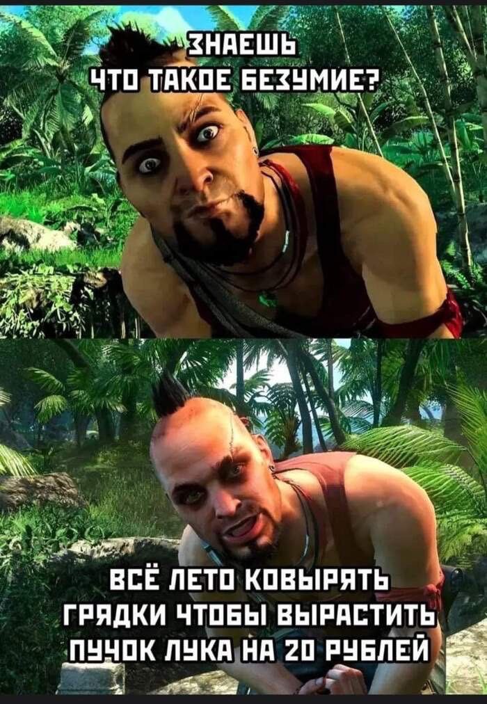 dimaleon's tweet photo. @userpig сначала я подумал что в верхней части этого мема - ты. https://t.co/EF3GFQubVB