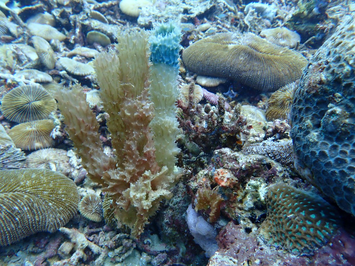 nicole de voogd tweet media