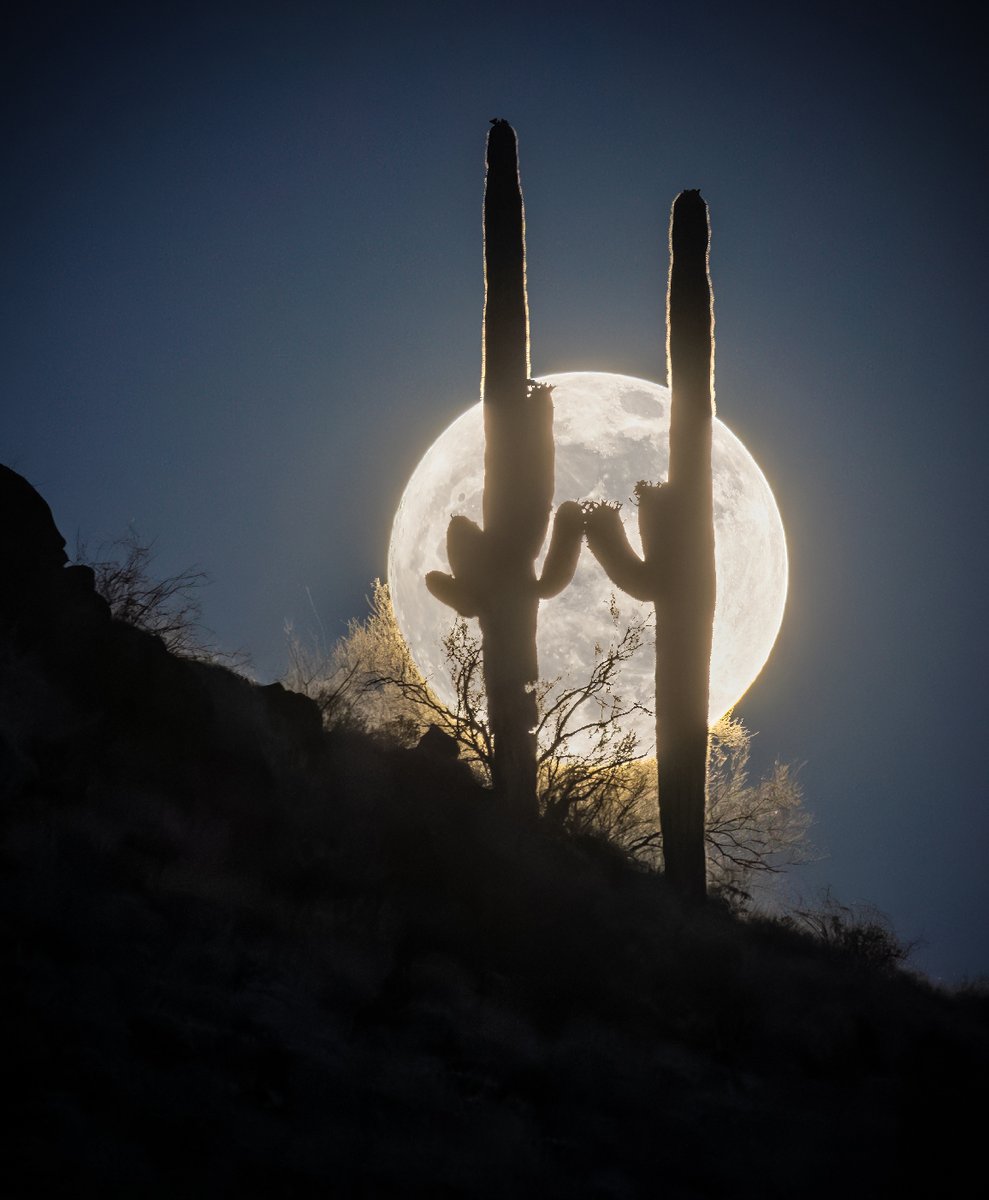 'Like two lovers holding hands, watching the full Flower Moon rise last night over north Phoenix.' 🌵🌵🌕 Thanks to Kevin O'Donnell for sharing this amazing shot! #abc15wx