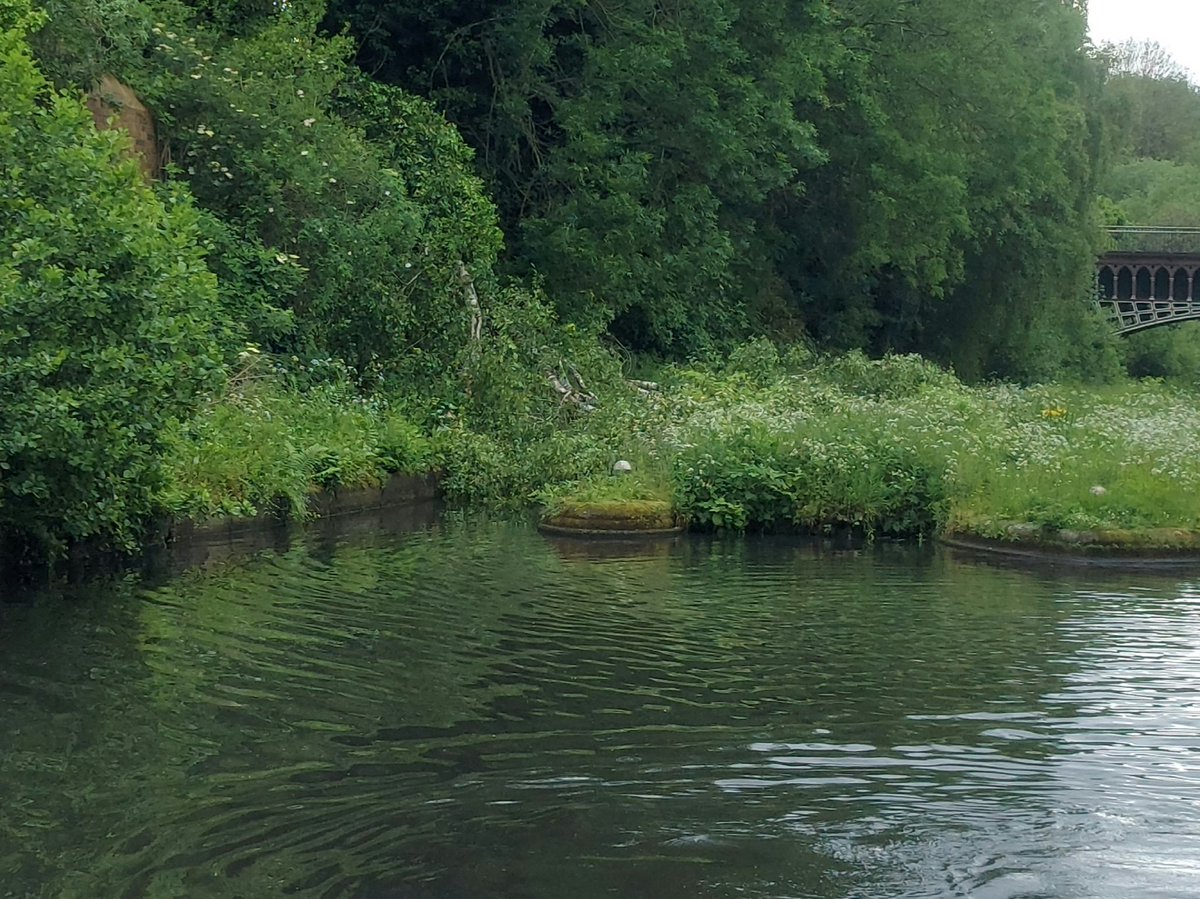 Hello @CRTWestMidlands there's a tree down across the non-towpath channel of the toll island on the New Mainline just by the Engine Arm aqueduct blocking it. Towpath side unaffected.