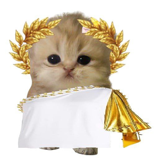 @lovelyhideous tweet media