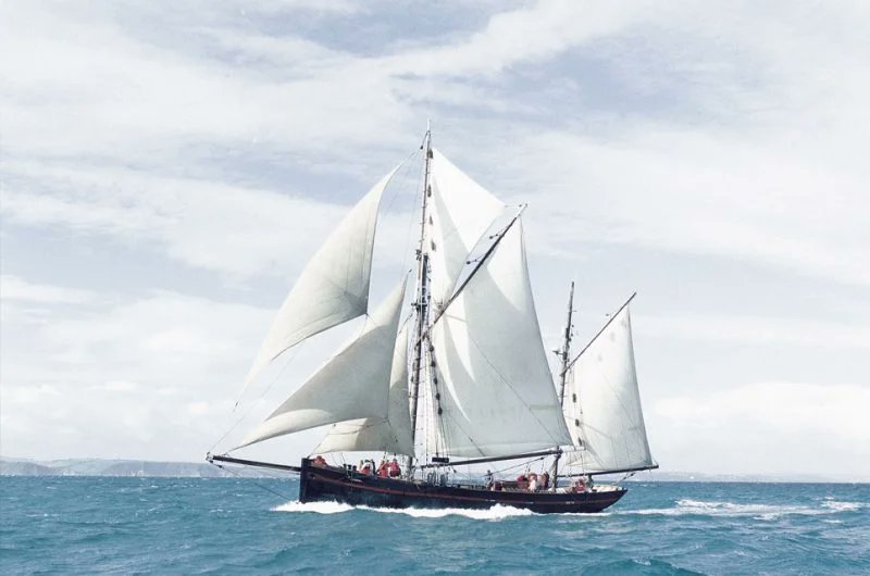 SailTraining Ireland tweet media