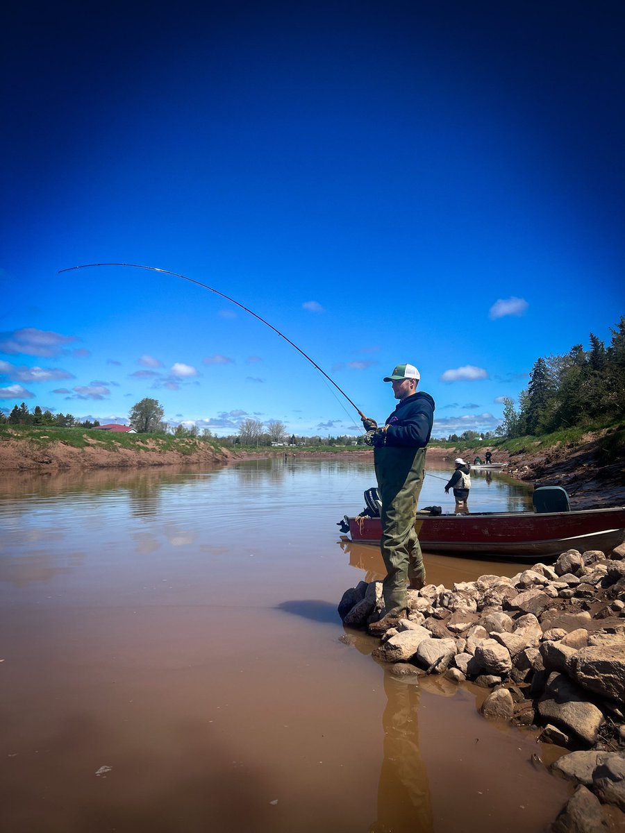 Matt Dort tweet media