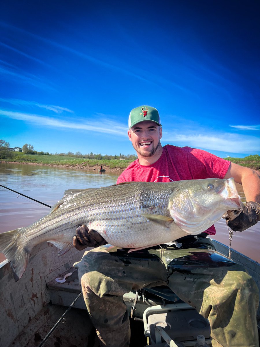 Matt Dort tweet media