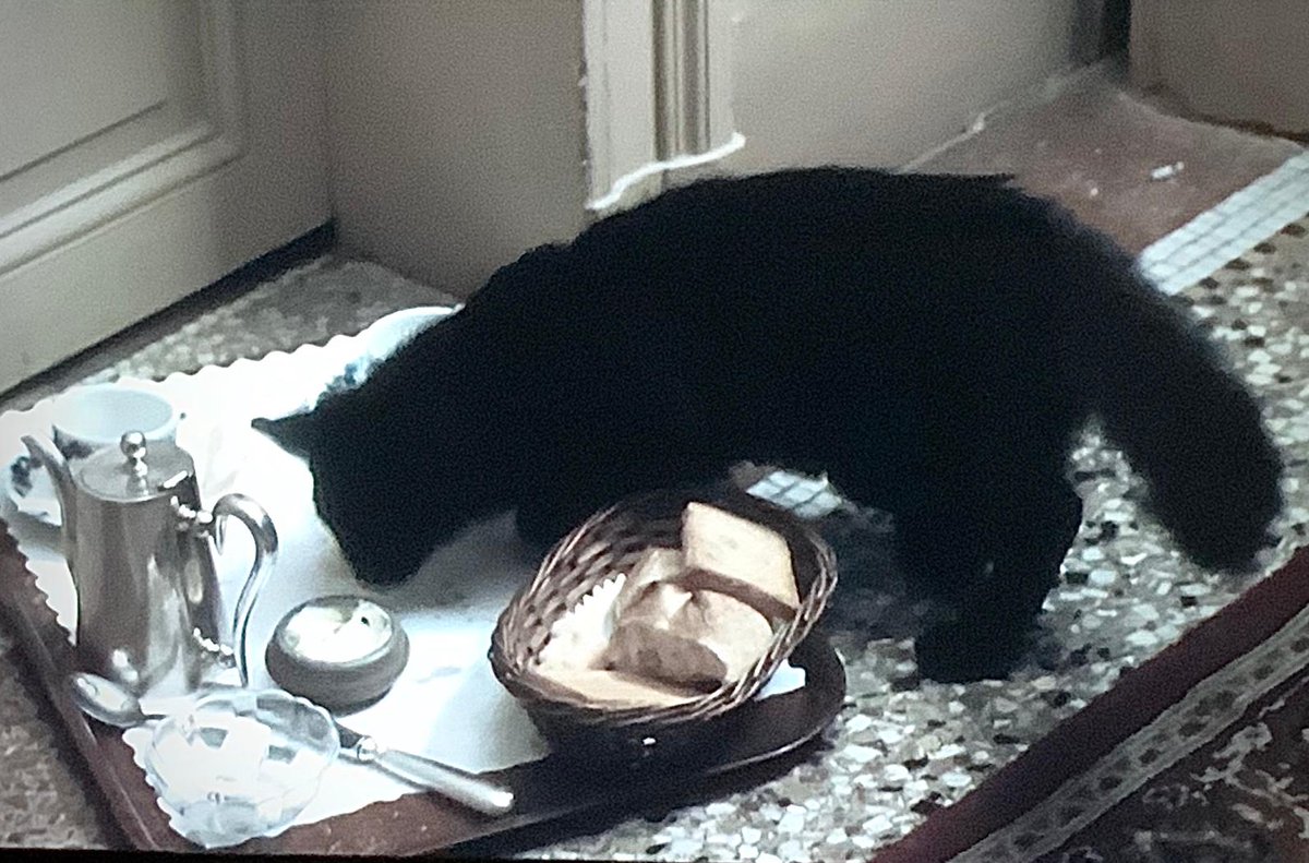 Le chat et le plateau du petit déj' : un thème cher à François Truffaut (ici dans L'homme qui aimait les femmes, 1977) Il y en a au moins un autre dans La peau douce (1964), grand film massacré à Cannes où il fut incompris.