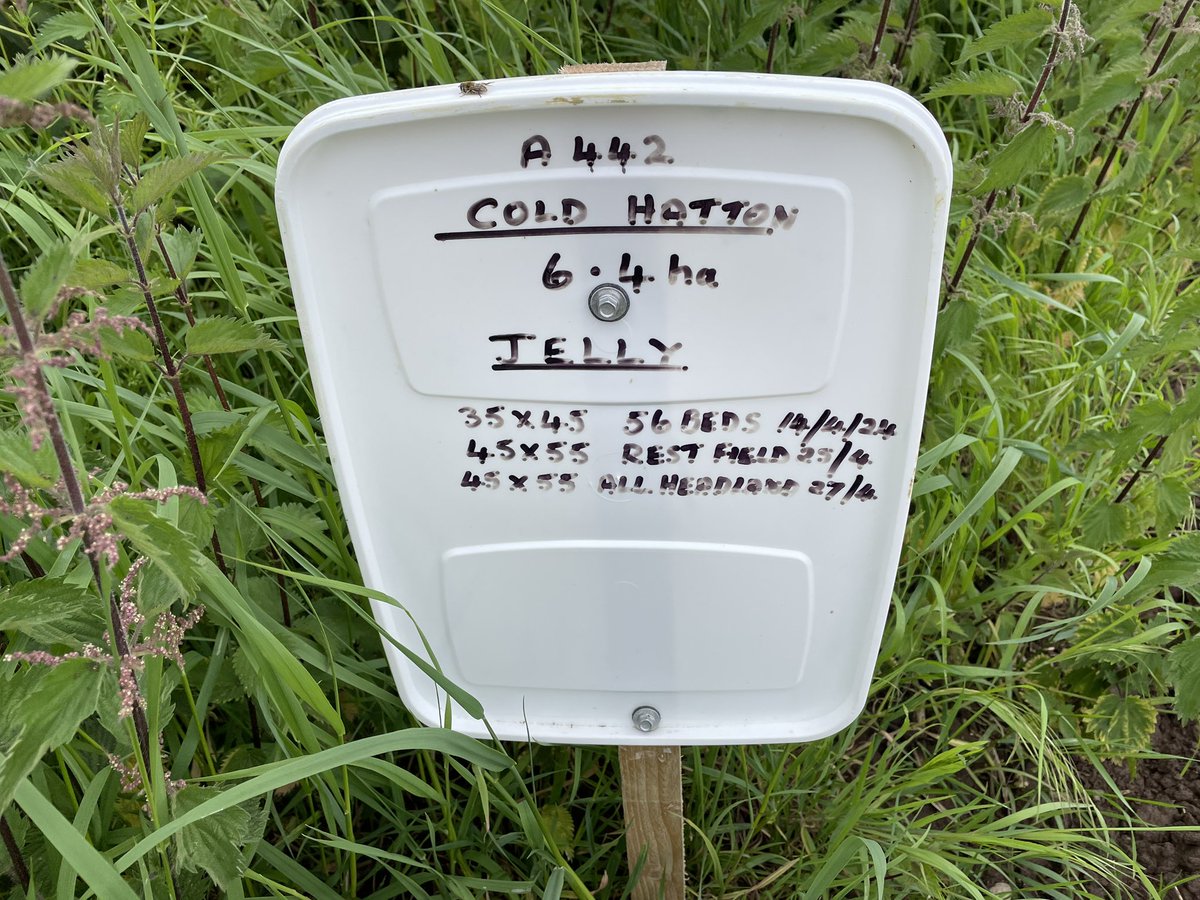 Excellent field markers from Mr. Upton again this season. <a href="/Ellerdinelakes/">Ellerdine Ed</a>