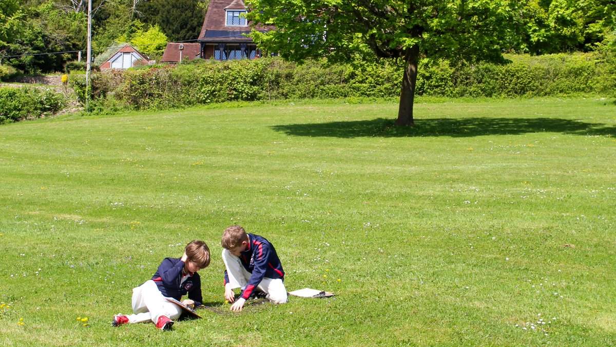StMichaels_Prep's tweet photo. The sun has been shining – time for some outdoor learning in Science ☀️🌼

How does the population of weeds differ between the Field of Hope and the pitch? Year 7 use quadrats to investigate.

#science #sciencelesson #sciencexperiment #habitat #habitatstudy #year7 @sciencemuseum https://t.co/aOPh9eAIS4