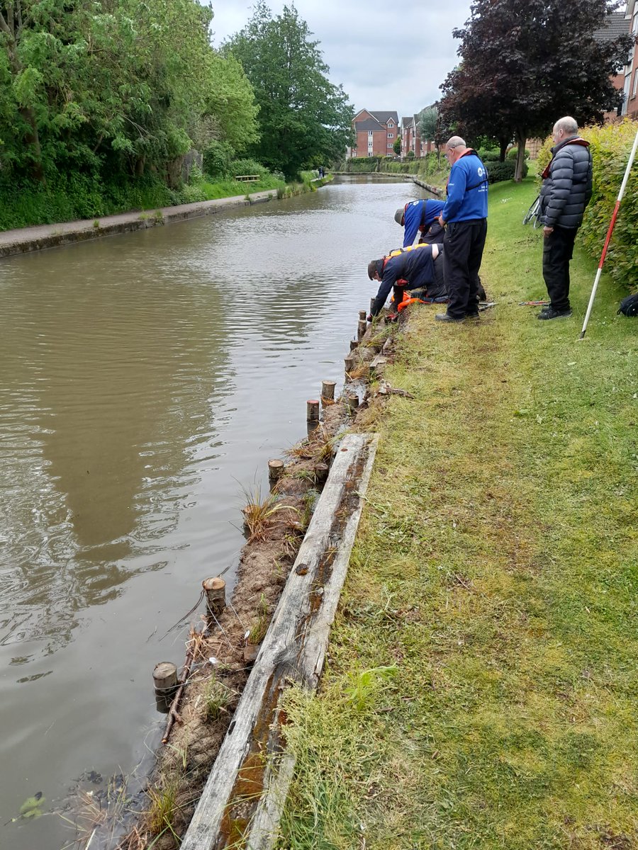 What a brilliant job our Coventry volunteers were doing today installing coir rolls along the canal to promote wildlife and Gove access points for water voles #volunteerbywater #TowpathTaskForce #CoventryCanal