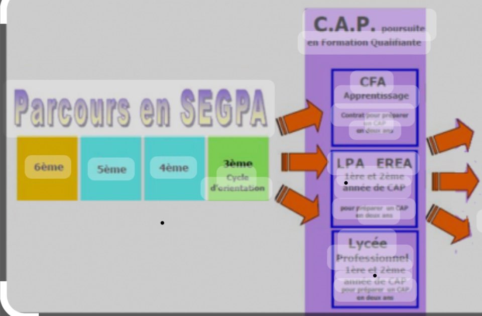 Merci au collège Django Reinhardt et à Mme Alessandrini pour l’accueil de nos  élèves de 6e et des personnels du collège Peiresc. Une visite de la SEGPA réussie pour nos élèves qui repartent  enthousiastes vers vers une nouvelle orientation. <a href="/dasen_sieye/">Mathieu Sieye</a> @ien_ash83 <a href="/nneChiardola/">Anne Chiardola</a>